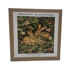 a december birthday card with snowdrops and a robin on a branch .