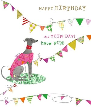 a birthday card with a greyhound wearing a pink sweater and bunting .