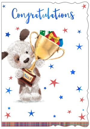 congratulations card with a teddy bear holding a trophy