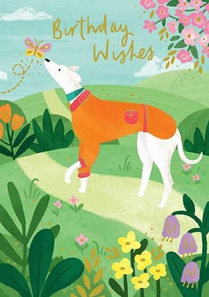 a birthday card with a dog in an orange sweater walking down a path .