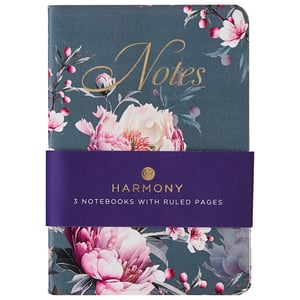 a set of 3 notebooks with ruled pages by harmony