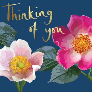 a thinking of you card with pink and white flowers on a blue background