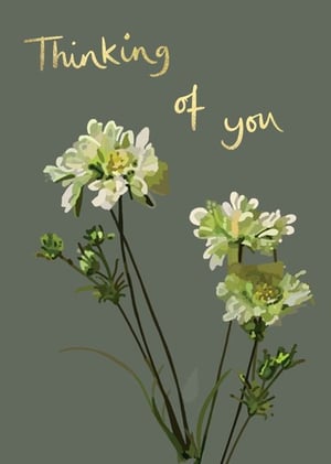 a greeting card with flowers and the words `` thinking of you '' .