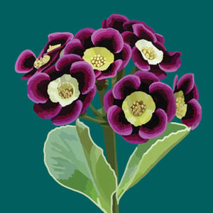 a bunch of purple flowers with yellow centers
