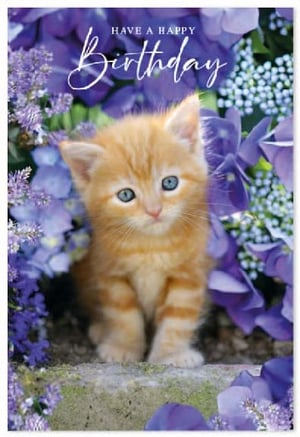 a birthday card with a kitten surrounded by purple flowers