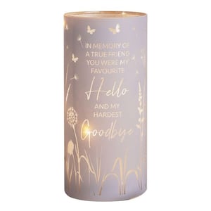 in memory of a true friend you were my favourite hello and my hardest goodbye