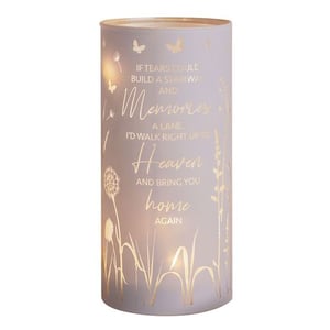 if tears could build a stairway and memories a lane