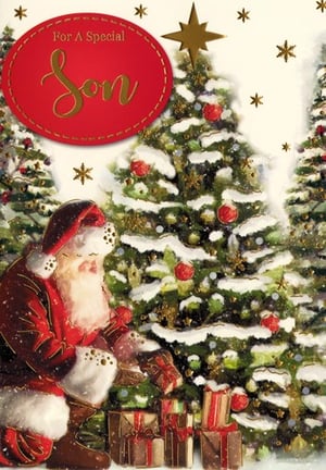 a christmas card that says for a special son