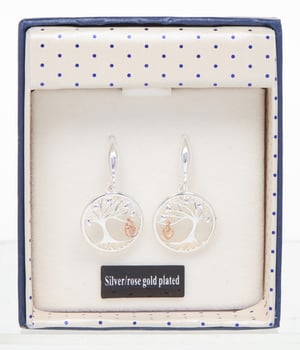 a pair of silver and rose gold plated earrings in a box