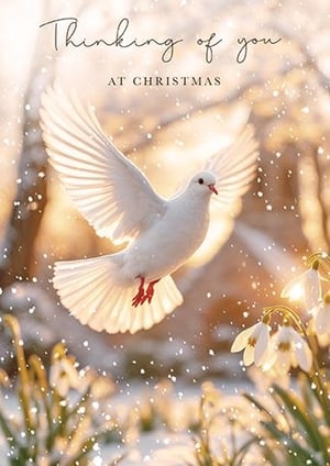 Share a heartfelt message this Christmas with our beautiful 'Thinking Of You' card. Featuring a serene white dove gracefully taking flight amidst sparkling snow and delicate snowdrops, this design captures the true spirit of peace and hope. Bathed in a warm, golden glow, it's the perfect way to let loved ones know they're in your thoughts during the festive season. Crafted with care by the Great British Card Company, these exquisite cards are sure to bring comfort and joy. Available in a convenient pack size of 1x6, they're ideal for your retail offering.