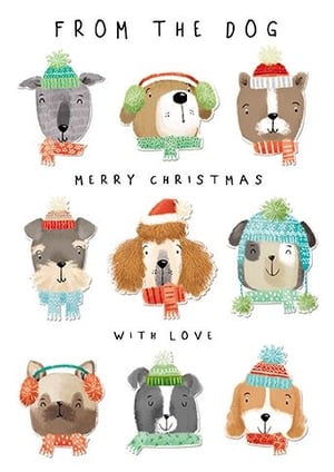 Bring a wagging tail to Christmas greetings with our 'From The Dog' Christmas cards! This delightful design from the Great British Card Company features an adorable array of festive pups, each sporting cosy hats, scarves, and earmuffs. Perfect for dog lovers, these charming cards convey a heartfelt 'Merry Christmas With Love' directly from our four-legged friends. Each card is bursting with personality and warmth, sure to bring a smile to any recipient. Available in a convenient wholesale pack of 6, they're an irresistible addition to your seasonal collection. Stock up on these wonderfully whimsical cards and let every dog have its day this Christmas!