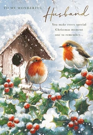 Capture the magic of Christmas with this enchanting card, perfect for a wonderful husband. Featuring a delightful scene of two robins nestled amongst snow-dusted holly and a charming birdhouse, this design evokes warmth and festive cheer. The heartfelt message, "You make every special Christmas moment one to remember...", beautifully expresses love and appreciation. Crafted by the Great British Card Company, this card offers exceptional quality and a truly memorable sentiment. Ideal for retailers looking to stock beautiful, meaningful Christmas greetings. Available in convenient packs of 6.