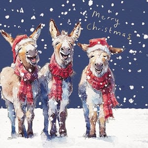 Bring a smile to every face this Christmas with these utterly charming cards! Featuring three wonderfully happy donkeys, all dressed in festive Santa hats and cosy red scarves, they're captured mid-chuckle amidst a gentle snowfall. The delightful watercolour style adds a touch of artistic warmth to this joyful winter scene, complete with a handwritten "Merry Christmas" message. Perfect for spreading cheer, these 'Open' cards are sure to be a firm favourite with your customers. Supplied by the Great British Card Company, each pack contains 6 cards, ready to bring festive delight.