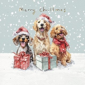 Spread festive cheer with our heartwarming "Open" Christmas card, brought to you by the Great British Card Company. This charming design features three adorable dogs, all dressed in festive Santa hats – one even sporting a cosy red scarf! Surrounded by beautifully wrapped presents and falling snow, their happy, smiling faces perfectly capture the joy of the season. The elegant "Merry Christmas" text completes this delightful scene. Crafted in a lovely watercolour style, this card is sure to be a favourite with dog lovers and anyone looking for a truly special greeting. Available in a convenient pack of 6, it’s the perfect addition to your Christmas card selection.