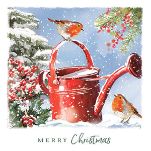 Spread festive cheer with these utterly charming Christmas cards, perfect for the holiday season. Each card features a heartwarming winter scene, beautifully illustrated with two beloved robins. One little bird perches gracefully atop a vibrant red watering can, dusted with snow, while its companion rests peacefully below. The scene is completed with lush green holly, bright red berries, and frosted pine branches, all under a gentle snowfall.
This pack contains 12 Robin Medium Deluxe Cards, offering 6 of each of two delightful designs (one shown here), ensuring a lovely variety for your customers. Supplied by Ling in a convenient 1x6 pack size, these cards are a wonderful way to send warm wishes this Christmas.