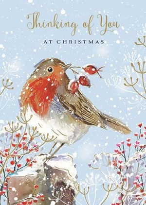 Share warm festive wishes with our delightful 'Thinking Of You' Christmas card, brought to you by Ling. This charming design features a beloved robin, its vibrant red breast a cheerful contrast against the soft, snowy blue backdrop. The robin is beautifully illustrated, holding a sprig of frosted red berries, evoking a truly traditional winter scene.
The elegant gold script of 'Thinking of You' paired with 'AT CHRISTMAS' conveys a heartfelt message, perfect for those special connections during the festive season. Each card is a wonderful way to let loved ones know they're in your thoughts. Available as a convenient pack of 6 cards, these are ready to add a touch of classic Christmas charm to your retail offering.