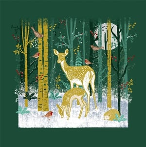 Discover the serene beauty of winter with this enchanting design from Nigel Quiney Publications. Our 'Open' product features a heartwarming woodland scene, where a graceful mother deer and her fawn are nestled amongst snow-dusted trees. Charming robins and other birds perch on branches, while a sleepy hedgehog peeks out from the snowy ground. The golden hues of birch trees and vibrant red berries add a festive touch, all illuminated by a soft moonlit glow. This picturesque design beautifully captures the magic of the season, making it a perfect choice for cards or gifts that evoke peace and natural wonder. Supplied in a convenient 1x6 pack, it's ready to delight your customers.
