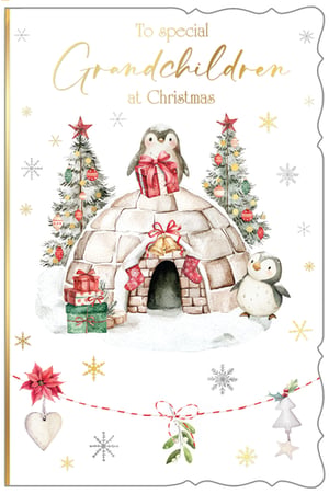 Help your customers send festive wishes to their grandchildren this Christmas with our charming 'Grandchildren' card from Out of The Blue Studios Ltd. This lovely watercolour design features two sweet penguins celebrating by a cosy igloo, surrounded by decorated Christmas trees and delicate snowflakes. The elegant gold lettering conveys the message: "To special Grandchildren at Christmas." With delightful details like stacked gifts, hanging stockings, and a festive garland, this card is sure to bring a smile. It's a wonderful way to share Christmas cheer with the little ones. Available in a convenient pack size of 1x6.