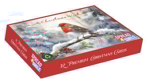 Bring festive cheer to your customers with these exquisite 12 Landscape Premium 'Slide' Festive Robin Christmas Cards from Out of The Blue Studios Ltd. Each box contains 12 beautifully designed cards, featuring a charming robin perched on a snow-dusted branch, adorned with red berries and the heartwarming message 'A Christmas Wish'. The serene winter scene is perfect for sending season's greetings.

These premium cards are not only stunning but also environmentally conscious, proudly displaying a 'Fully Recycled' logo. Plus, with every purchase, you're helping to 'Spread a Smile'. Stock up with our convenient 1x6 pack size and offer your customers a truly special way to connect this Christmas.