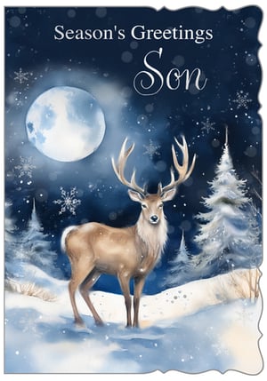 Offer your customers the perfect way to send festive cheer to their Son with this beautiful Season's Greetings card from Out of The Blue Studios Ltd. The enchanting design features a majestic deer standing proudly in a serene, snow-covered forest, bathed in the soft glow of a full moon. Delicate snowflakes fall gently from the deep blue night sky, creating a truly magical winter scene. This heartfelt card is ideal for sons of all ages, conveying warmth and seasonal wishes. Stock up with our convenient pack of 6, ensuring you have this popular design ready for the holiday season.