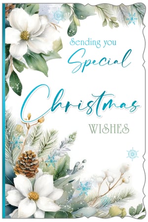 Capture the serene beauty of winter with our exquisite 'Open Female' Christmas card. This stunning design features delicate white magnolias, frosted pinecones, and elegant evergreen foliage, all brought to life with a gentle watercolour touch. Icy blue snowflakes and soft cotton bolls add a touch of festive sparkle, creating a truly enchanting scene. The heartfelt message, 'Sending you Special Christmas Wishes', is beautifully scripted in a complementary teal, making it perfect for conveying warm greetings to anyone special this festive season. Supplied by Out of The Blue Studios Ltd., these gorgeous cards come in convenient packs of 6, ready to delight your customers.