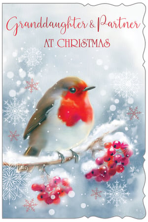 Send warm Christmas wishes to a special Granddaughter and her Partner with this beautiful Christmas card. It features a charming robin perched on a snow-dusted branch adorned with vibrant red berries, evoking the magic of the festive season. Delicate snowflakes add to the enchanting winter scene, making this card a delightful choice for the holidays. The heartfelt message "Granddaughter & Partner AT CHRISTMAS" is elegantly displayed in a festive script. This lovely design from Out of The Blue Studios Ltd comes in a convenient pack of 6, ready to bring joy to your customers.