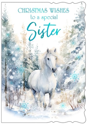 Help your customers send heartfelt Christmas wishes to a special sister with this beautiful card. From Out of The Blue Studios Ltd., this design features a stunning white horse gracefully stepping through a serene, snow-dusted winter forest. The watercolour artwork captures the magic of the season, with delicate snowflakes and sparkling accents in icy blue and white tones. It's a truly lovely way to celebrate the bond with a sister during the festive period. This 'Sister' card is available in a convenient pack size of 1x6, perfect for your seasonal card selection.