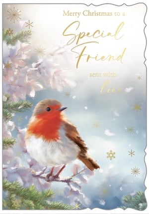 Bring a touch of festive warmth to your customers' Christmas greetings with this beautiful 'Friend' Christmas card from Out of The Blue Studios Ltd. Featuring an adorable robin perched on a snow-dusted branch, this card captures the serene beauty of winter. The heartfelt message, 'Merry Christmas to a Special Friend sent with love,' is elegantly highlighted with shimmering gold foil, complemented by delicate snowflake details. Its charming design and premium finish make it a perfect choice for expressing warm wishes. Available in a convenient pack of 6, these cards are ready to delight.