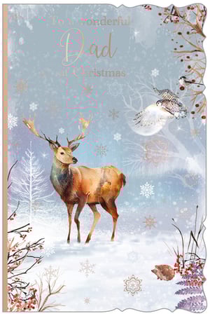 Make Christmas extra special for Dad with this beautiful card from Out of The Blue Studios Ltd. Featuring a serene winter wonderland scene, it showcases a majestic stag standing gracefully in the snow, surrounded by delicate snowflakes. A wise owl soars through the frosty air, while a little hedgehog peeks out from beneath berry-laden branches. The elegant "To a wonderful Dad at Christmas" message is highlighted in a charming rose gold foil. This thoughtful design captures the magic and beauty of the festive season, making it the perfect way to show your appreciation. Each pack contains 6 cards, ready for your customers to share.