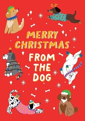 Add a touch of canine charm to your festive offerings with our delightful 'From The Dog' Christmas cards. This adorable design features a playful pack of pups, each dressed in their holiday best – from reindeer antlers and cosy sweaters to twinkling lights and Santa hats. Set against a vibrant red background, complete with scattered bones and snowflakes, these cards capture the joyful spirit of the season. Perfect for dog lovers and pet parents, they offer a wonderfully warm and humorous way to send Christmas greetings. Supplied by Paper Rose, each pack contains 6 high-quality cards, ready to bring smiles to your customers this holiday season.