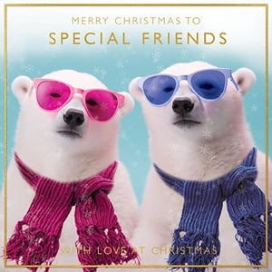 a christmas gift bag with two birds on a branch