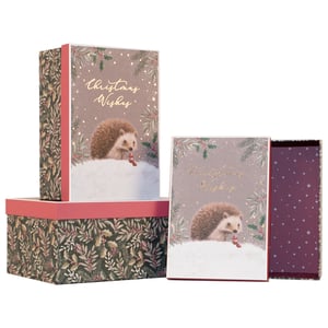 Make your festive gifts extra special with this delightful Set of 3 Christmas Hedgehog Gift Boxes from Partisan Products Ltd. Perfect for retailers looking to offer charming and practical packaging, these boxes feature an adorable hedgehog nestled in snow, surrounded by festive foliage and "Christmas Wishes" text.
The lids showcase a soft, sparkly background, beautifully complemented by the rich, leafy pattern on the box sides. Inside, a playful star design adds an extra touch of magic. These versatile boxes are ideal for presenting a variety of Christmas treats and treasures, adding a touch of woodland charm to any present. Available as a single pack, they're ready to bring joy to your customers this holiday season.