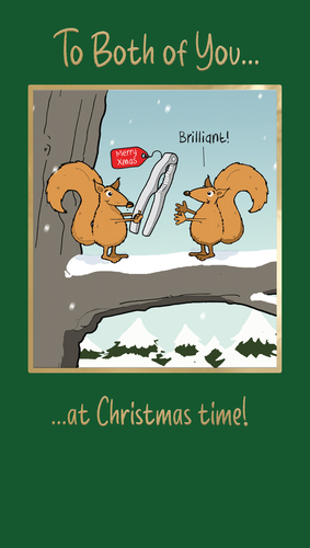 Spread some festive cheer this Christmas with our delightful 'To Both Of You' Christmas card! From Second Nature, this charming card features two adorable squirrels in a snowy scene. One squirrel is humorously gifting the other a nutcracker, complete with a 'Merry Xmas' tag, prompting an excited 'Brilliant!' from the recipient. It's the perfect way to send warm wishes to a special couple or two friends at Christmas time. With its playful design and heartwarming message, this card is sure to bring a smile. Available in a convenient pack of 6, ensuring you're ready for the festive season.