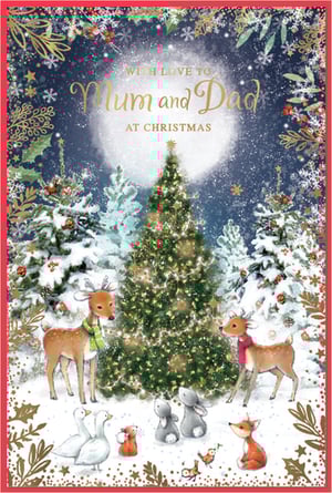 Offer your customers a truly special way to celebrate with this beautiful Mum & Dad Christmas card from Simon Elvin. This lovely card features a serene winter wonderland, where sweet woodland animals gather around a brightly lit Christmas tree under a moonlit sky. Adorned with snow-dusted evergreens and sparkling details, the scene evokes a wonderful festive spirit. The heartfelt message, "With Love To Mum and Dad At Christmas," makes it an ideal choice for parents. Stock up on this delightful design, available in a convenient pack of 6, to ensure your shelves are ready for the festive season.
