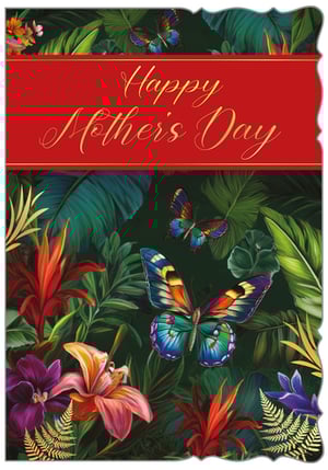 Celebrate Mother's Day in style with this stunning 'Open Mothers Day' card from Out of The Blue Studios Ltd. This vibrant design is a true feast for the eyes, featuring lush tropical foliage and exotic flowers in rich reds, oranges, and purples. Colourful butterflies flutter gracefully across the scene, adding a touch of natural beauty.

The elegant gold script on a bold red banner proudly proclaims "Happy Mother's Day," making it the perfect way to show appreciation. Each card boasts a unique decorative edge, adding an extra touch of sophistication. Available in a convenient pack size of 1x6, these beautiful cards are ready to delight your customers and help them make every mum feel truly special.