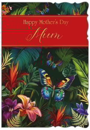 Make Mother's Day truly special with our exquisite 'Mum' card, brought to you by Out of The Blue Studios Ltd. This stunning card transports you to a vibrant tropical paradise, adorned with lush green foliage, exotic flowers in rich reds, oranges, and purples, and beautifully detailed, colourful butterflies. The elegant red banner, featuring 'Happy Mother's Day Mum' in a charming gold script, adds a touch of sophistication. With its captivating artwork and decorative cut edges, this card is a delightful way to express love and appreciation. Available in a convenient pack of 6, it's the perfect choice for retailers seeking a premium and eye-catching Mother's Day offering.