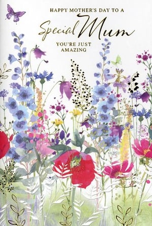 Celebrate Mum this Mother's Day with this exquisite card from Simon Elvin. Our 'Mum' card features a breathtaking watercolour design, showcasing a vibrant meadow of wildflowers in beautiful blues, reds, and purples, complemented by delicate butterflies. The elegant gold foil detailing on "Special Mum" adds a touch of luxury, perfectly enhancing the heartfelt message: "Happy Mother's Day to a Special Mum, You're Just Amazing." This card is a wonderful choice for customers looking to express their love and appreciation. Available in a convenient pack of 6, it's an essential addition to your Mother's Day collection.
