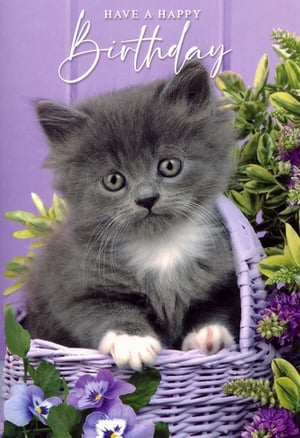 Brighten any birthday with this utterly charming Open Birthday card from Simon Elvin. Featuring an irresistibly cute grey kitten, with its fluffy white chest and paws, peeking from a lovely purple woven basket. Lush green foliage and vibrant purple pansies add a delightful touch to this heartwarming scene. The elegant 'Have a Happy Birthday' message makes it a wonderful choice for any female recipient. Supplied in a convenient pack of 6, these cards are perfect for your retail display and are sure to bring a smile.