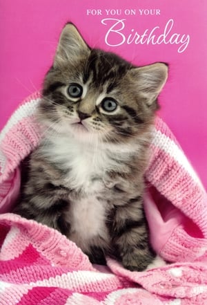 Delight your customers with this absolutely charming 'Open Birthday Female' card from Simon Elvin. Featuring an irresistibly cute tabby kitten with sparkling blue eyes, snuggled warmly in a soft pink and white blanket against a vibrant pink background, this card is designed to bring joy. The sweet design and heartfelt 'FOR YOU ON YOUR Birthday' message make it the perfect choice for celebrating any special female's birthday. Its universal appeal ensures it will be a popular pick in your store. Available in a convenient 1x6 pack, it's easy to keep your shelves stocked with this delightful and heartwarming option.