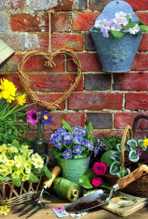 Bring the beauty of a blossoming garden to your customers' celebrations with our 'Open Birthday Female' card pack from Simon Elvin. This delightful design captures the charm of a rustic garden, featuring vibrant spring flowers in shades of yellow, blue, and purple, alongside classic gardening tools and a whimsical wicker heart. It's the perfect choice for sending warm birthday wishes to any special woman. Each card evokes a sense of joy and natural elegance, making it a truly memorable greeting. Available in a convenient 1x6 pack, these cards are a wonderful addition to any retail display.