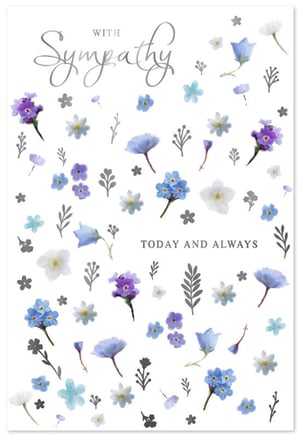 Offer a gentle message of comfort with our beautiful 'Sympathy' card, a thoughtful addition to your retail collection. This serene design features delicate watercolour flowers in calming shades of blue, purple, and white, interspersed with subtle grey botanical accents. The elegant 'WITH Sympathy' message is presented in sophisticated silver script, complemented by 'TODAY AND ALWAYS' in a classic font. Crafted by the trusted supplier Simon Elvin, these cards provide a sensitive way to express condolences. Each pack contains 6 cards, ensuring you're well-stocked to meet your customers' needs for heartfelt and comforting messages during difficult times.