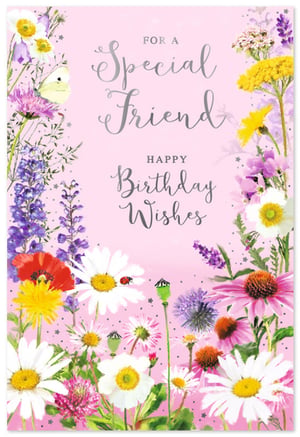 Celebrate a special bond with this delightful 'Friend Female' birthday card from Simon Elvin. Bursting with vibrant wildflowers, this charming design features a beautiful array of daisies, poppies, lavender, and more, all set against a soft pink background. A delicate butterfly and a tiny ladybug add extra touches of natural beauty, making this card truly enchanting. The elegant silver script conveys warm wishes: 'FOR A Special Friend, HAPPY Birthday Wishes'. Perfect for expressing heartfelt sentiments, this card is sure to bring a smile to any female friend's face. Available in convenient packs of 6, it's an ideal addition to your greeting card selection.