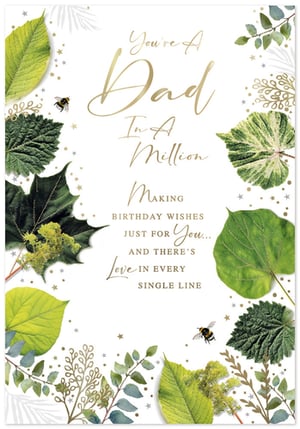 Celebrate a truly special dad with this heartwarming birthday card from Simon Elvin. Adorned with beautiful botanical illustrations, including vibrant green leaves and charming bumblebees, this card features a touching message: "You're A Dad In A Million". The elegant gold lettering and subtle accents add a touch of sophistication. It's the perfect way to convey heartfelt birthday wishes and show your appreciation. Stock up with this delightful design, available in a convenient pack of 6, ensuring you always have the right card for a beloved dad.