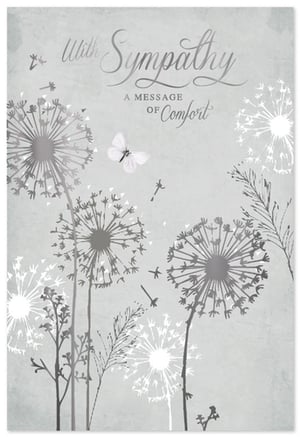 Offer a gentle message of support with our beautiful Sympathy cards from Simon Elvin. This thoughtful design features delicate dandelion seed heads in soft greys and whites, with a graceful butterfly adding a touch of serenity. The elegant script reads "With Sympathy" and "A MESSAGE OF Comfort," conveying heartfelt condolences. Perfect for those difficult times, these cards provide a sensitive way to express care and remembrance. Each pack contains 6 cards (1x6), ensuring you're well-stocked to meet your customers' needs for a truly comforting choice.