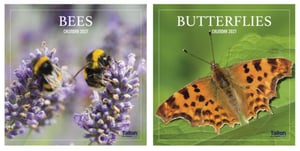 two calendars with butterflies and bees on them