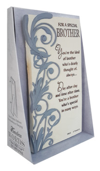 A card that says "for a special brother" on it.