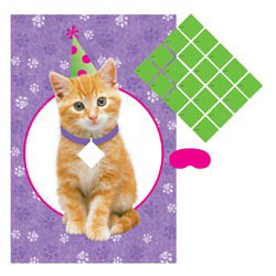 A kitten wearing a party hat sits on a purple background.