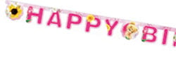 A banner that says "Happy Birthday" with flowers on it.
